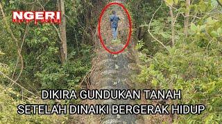 Ngeri.! Detik² Ular Bertapa Bergerak hidup Saat Dinaiki