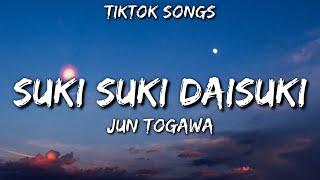 Jun Togawa - suki suki daisuki [TikTok Songs] (Lyrics) "suki suki daisuki  TikTok Songs"