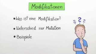 MODIFIKATIONEN | DIE UMWELT BEEINFLUSST DEN PHÄNOTYP | Biologie | Evolutionsbiologie