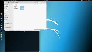 Kali Live Bootable USB + Kali Encrypted Persistent USB