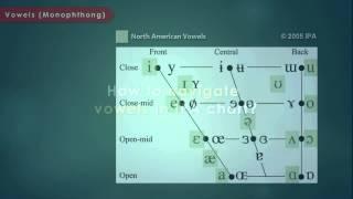 Articulatory Phonetics Introduction to International Phonetic Alphabet