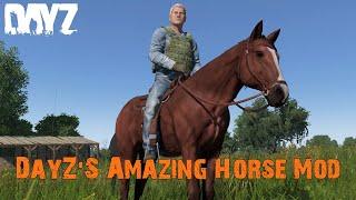 DayZ Horse Mod Is Finally Here And It's Amazing!!