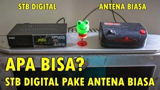 APAKAH BISA STB TV Digital Pakai Antena Biasa? Test STB UHF Digital DVB T2 Matrix Merah Apple HD