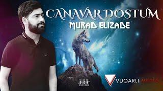 Murad Elizade - Canavar Dostum 2022