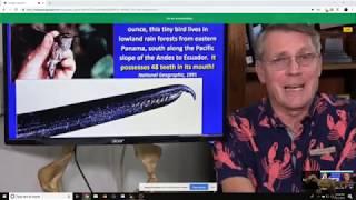 Are Birds Dinosaurs? A Debate with Kent Hovind (Original)