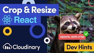 Crop & Resize Images in React with Cloudinary - Dev Hints