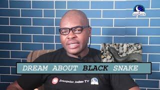 BLACK SNAKE DREAM MEANING - Evangelist Joshua Dream Dictionary