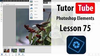 Photoshop Elements Tutorial - Lesson 75 - Horizontal Type Mask Tool and Vertical Type Mask Tool