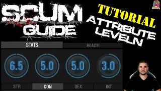 SCUM Guide 0.9  Attribute Leveln STR CON DEX