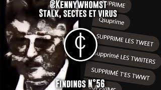 Le MYSTÈRE derrière le THREAD twitter @KennyWhomst - Findings N°56