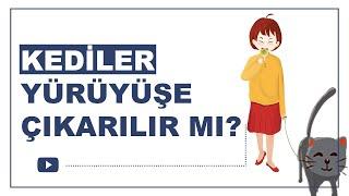 EV KEDİLERİ YÜRÜYÜŞE(DIŞARI) ÇIKARILIR MI? TASMAYLA KEDİ GEZDİRMEK