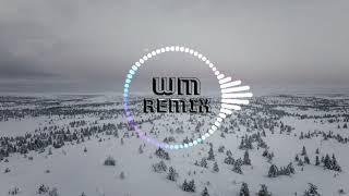 Poylow, Linn Sandin, Midranger - Revolution | [WM Remix]