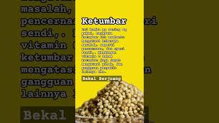 Ternyata ini manfaat bumbu dapur ketumbar #masakanrumahan #ketumbar