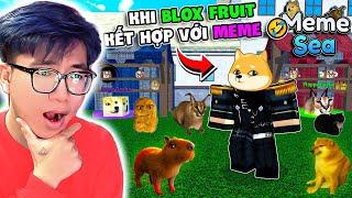 BI HUỲNH CHƠI THỬ TỰA GAME BLOX FRUIT NHƯNG KẾT HỢP VỚI MEME | ROBLOX