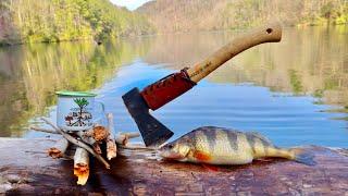 Solo Mountain Catch Cook Camp! Hunting JUMBO Perch & Bluegill