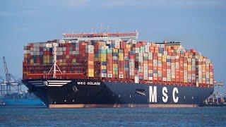 MSC GULSUN - New world's largest containership departing the port of felixstowe 7/9/19