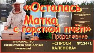 Пчелы и Пчеловодство. Спасение матки осенью, Часть 2 - Способ 2. Применение изоляторов. "СК"-124