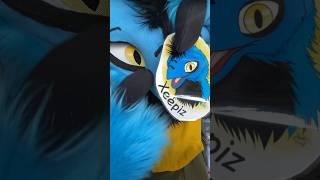 itz Shalom - Finished this Fursuit  #fursuitmaker #fursuitpartial #fursuithead #fursuiter