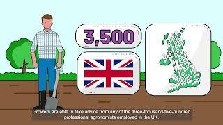 How the Crop Protection sector works in UK agriculture