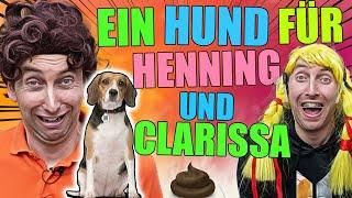 Therapiehund soll Henning und Clarissa heilen