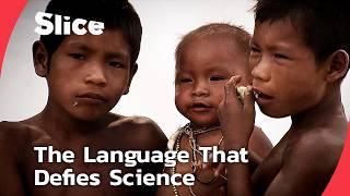 Pirahã: The Amazonian Tribe That Challenges Everything We Know About Language | SLICE