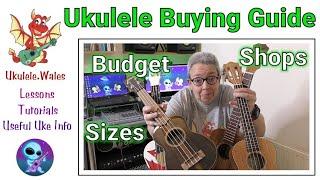 Ukulele Buying Guide  - Sizes, Budgets And Where To Buy Your First Uke