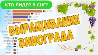 Выращивание винограда - Сравнение стран бывшего СССР (СНГ)