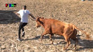 Encierro y vacas Alba Atenea - Benicasim (26-01-2020) Bous Al Carrer [Toros FJGNtv]