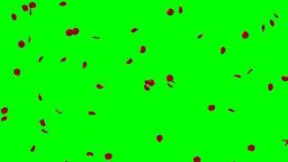 Falling Rose Petals Red HD Animation - green screen effect 赤いバラの花びら花吹雪
