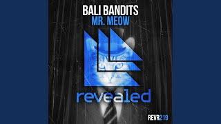 Mr. Meow (Extended Mix)