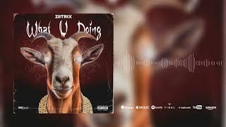 ZIITRIX - WHAT U DOING (Son Officiel 2024)