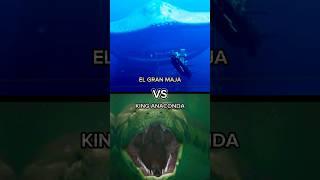 EL GRAN MAJA VS ALL #deepsea #monster #sea #edit #elgranmaja #vs #all #shorts