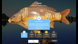 HUGE BLUE TAG MIROR CARP 48.583kg SUPER ACTIVE TROPHY SPOT AMBER LAKE Russian fishing4 RF4