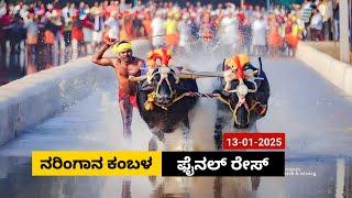 Naringana Kambala Final race 2025 | ನರಿಂಗಾನ ಕಂಬಳ ಫೈನಲ್ ರೇಸ್