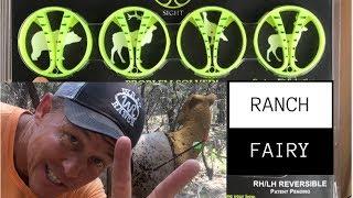 EZV Sight Review I Ranch Fairy