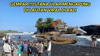 Warga Gempar!! Istana Ular Mengapung Di Lautan Viral Di Bali