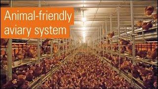 Animal welfare, functionality and efficiency | NATURA Step XL