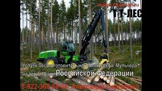 Заготовка леса 2017 г   Валка, Раскряжевка. 89223685804 окажем услуги