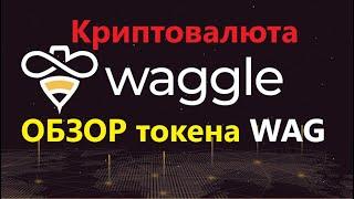 Waggle Network криптовалюта - Обзор токена WAG (Перспективная крипто монета) ENILDIAR