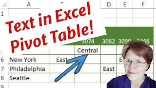 Show Text in Excel Pivot Table Values Area