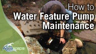 Water Feature Pump Maintenance How To