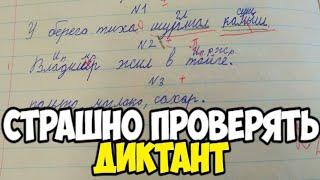 Проверяю контрольный диктант по русскому языку 3 класс