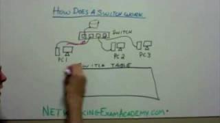 How a Networking Switch Works