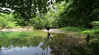 River soundscape, Acoustic ecology – Binaural stereo recording