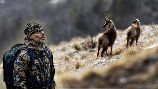 Fotografia Naturalistica | Il Camoscio Appenninico