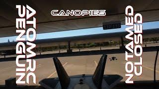 AtomRC Penguin - Flying the Canopies