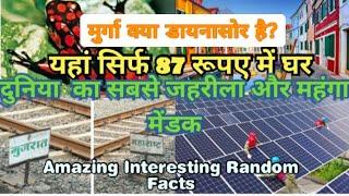 मुर्गा क्या डायनासोर है? Amazing & Interesting Random Facts || DK Tech & Motivation