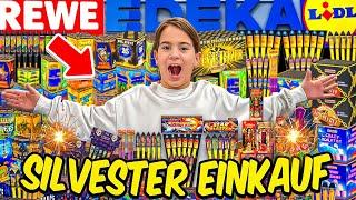 Mein 1000€ SILVESTER FEUERWERK EINKAUFSTOUR 2024/25!