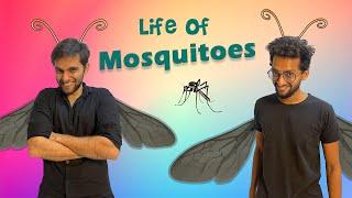 Life of Mosquitoes | Funcho