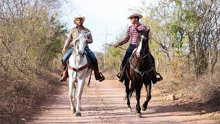 El Komander y  Panter Bélico - Me quiero casar (Video Oficial)